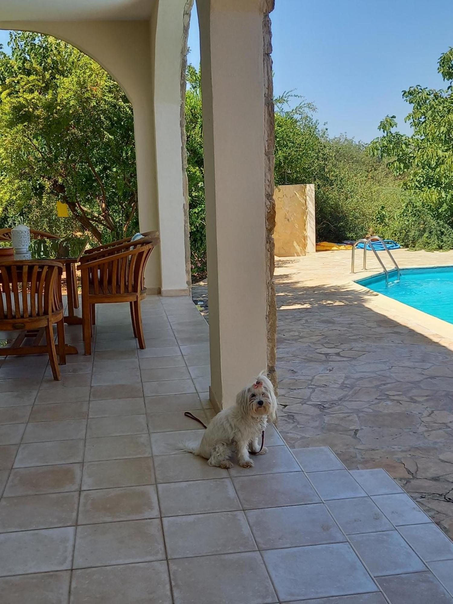 Villa Koumneni Pano Akourdalia Exterior foto