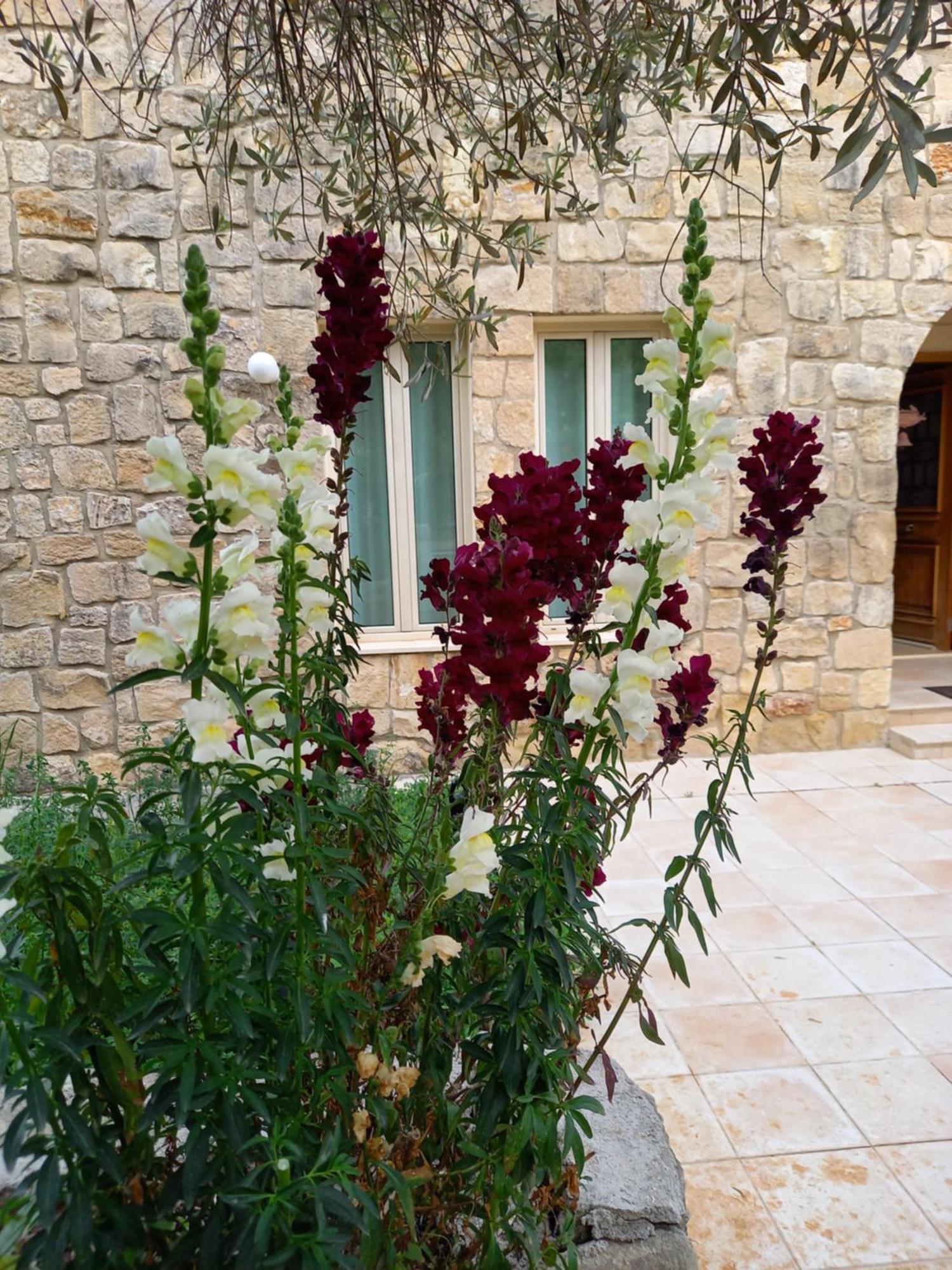 Villa Koumneni Pano Akourdalia Exterior foto
